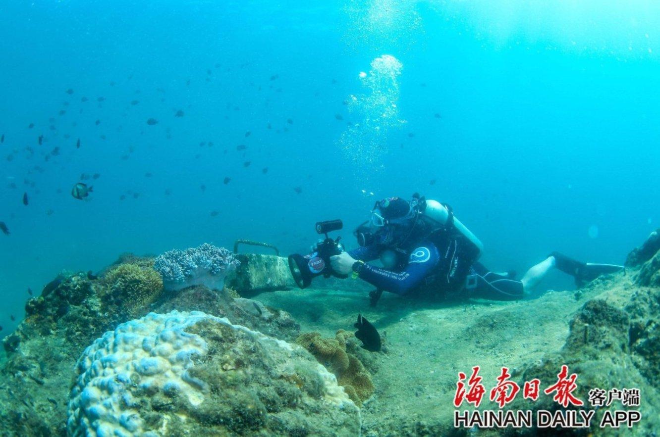 易币付官方网站游戏画面